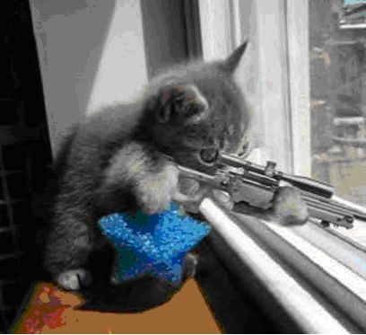 Cat_With_Rifle.jpg